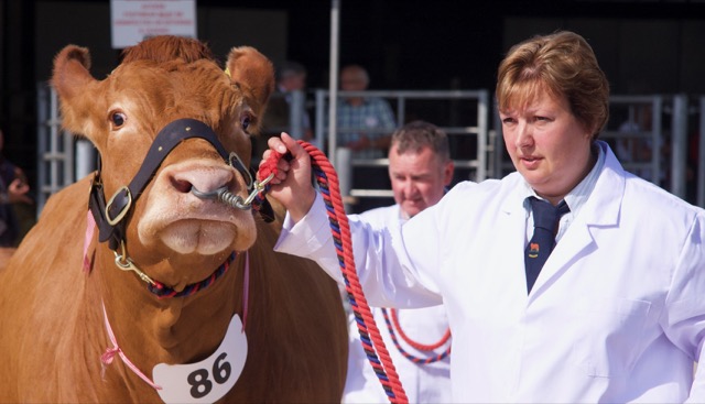 Peak District events - Bakewell Show