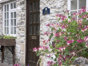 derbyshire-self-catering-cliffe-cottage-outside