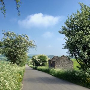 Peak District lane in the spring